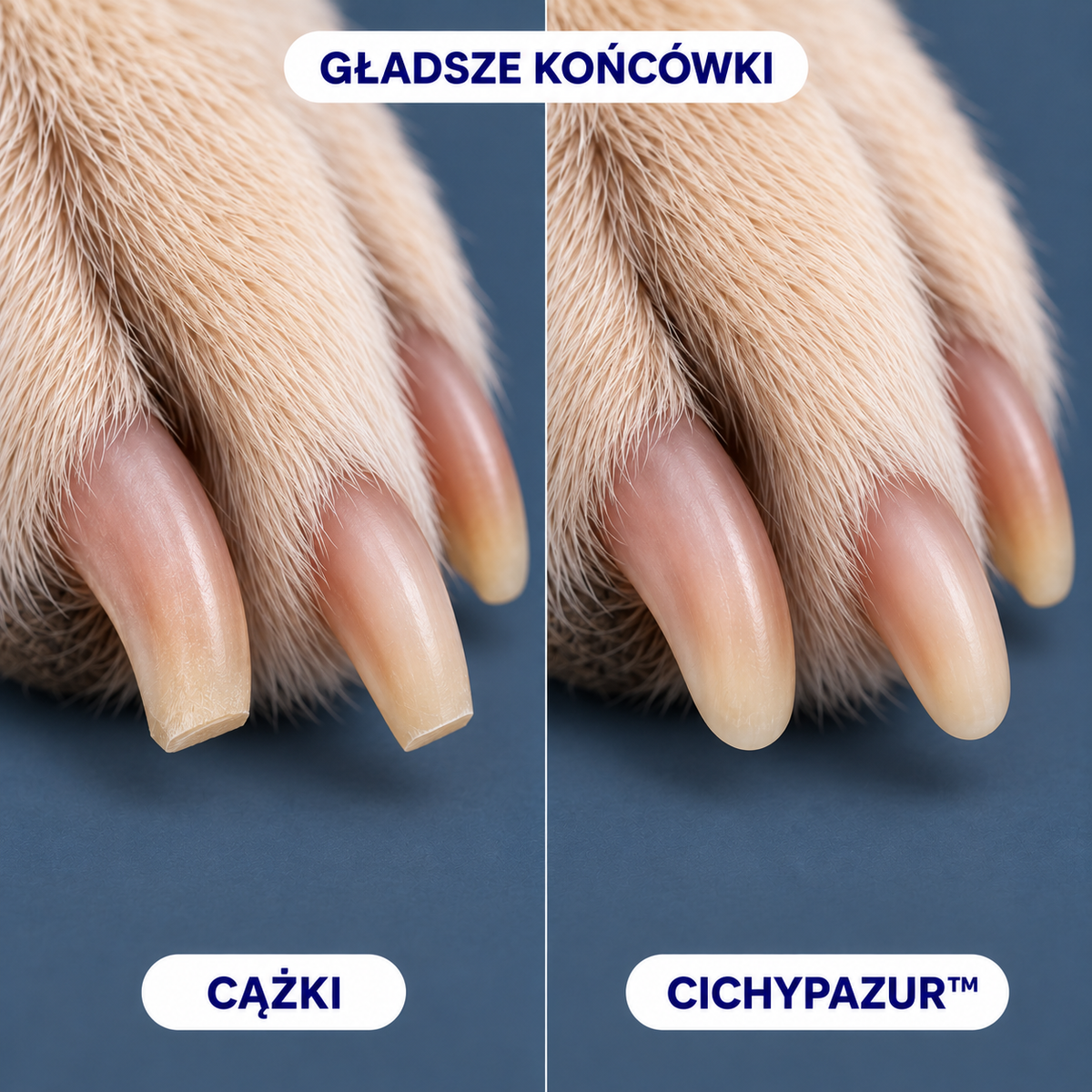 CichyPazur™ — bezstresowa szlifierka do pazurów